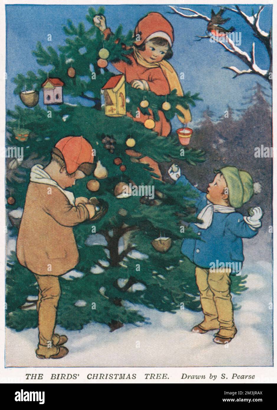 Illustration by Susan Beatrice Pearse (1878 - 1980) showing three children decorating a Christmas tree. Susan Pearse was a regular contributor to the Sphere and other ILN titles. Her illustrations in childrens' books and on posters (including the Start-rite shoes children still in use today) recall the style of Mabel Lucie Attwell and Honor Bishop.     Date: 1926 Stock Photo