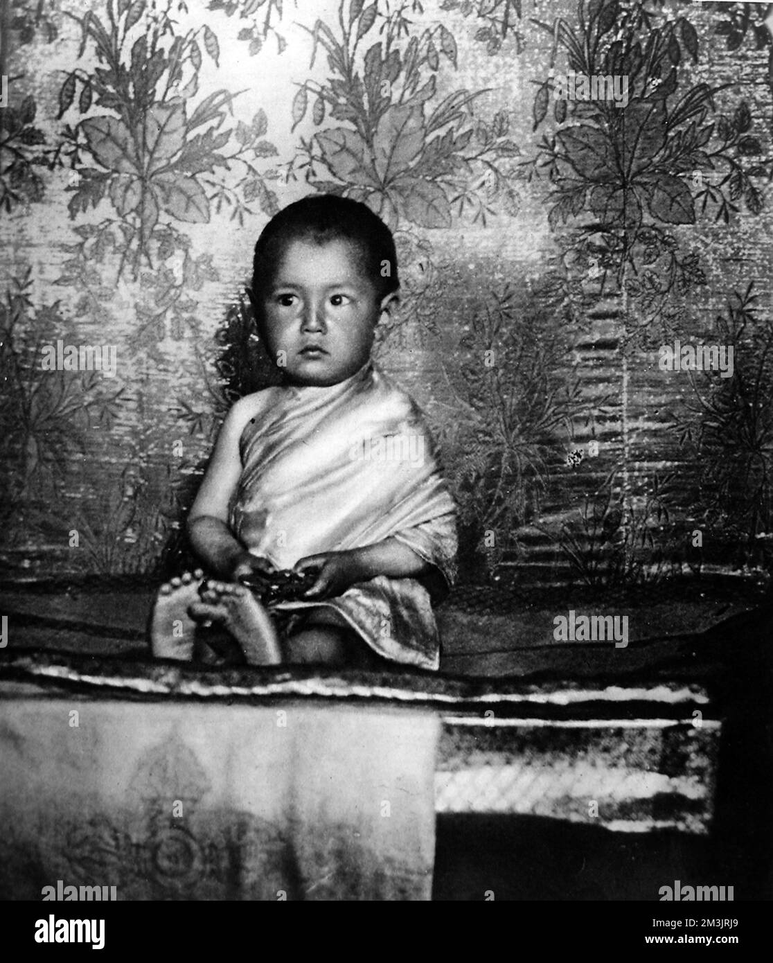 An incarnation of the 'Great immortal white lama', the two year old 'Holy Lama' worshipped as a divine being at the Usersky-Dazan monastery in Mongolia. Stock Photo