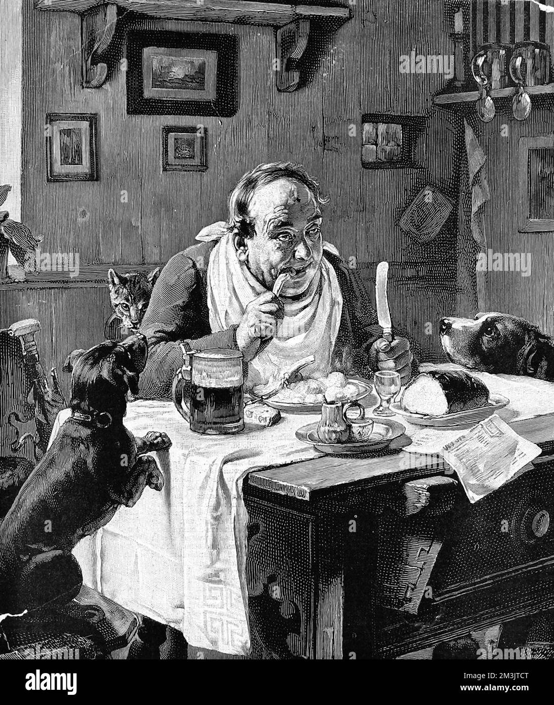 Man at his dinner table eating chops, potatoes and bread watched by two hungry dogs and a cat. There is a tankard on the table next to him and he has a napkin around his neck.  1887 Stock Photo
