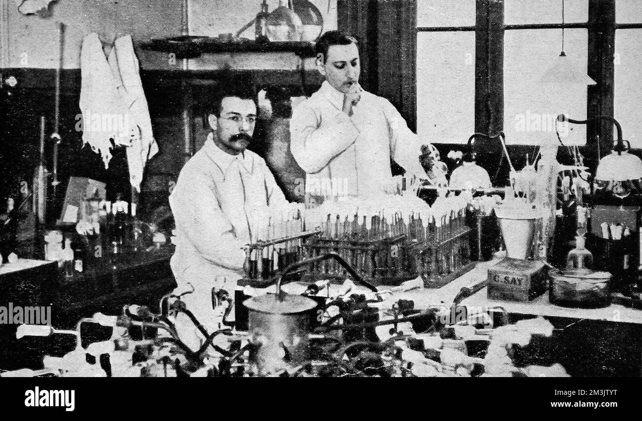 Dr Wollman in his laboratory at the Pasteur institute. Large quantities of anti-tetanus serum was produced at the Pasteur institute under the direction of Professor Metchnikoff. The serum was needed to treat those wounded by the war, and was administered to the soldiers by injection.     Date: 1914 Stock Photo
