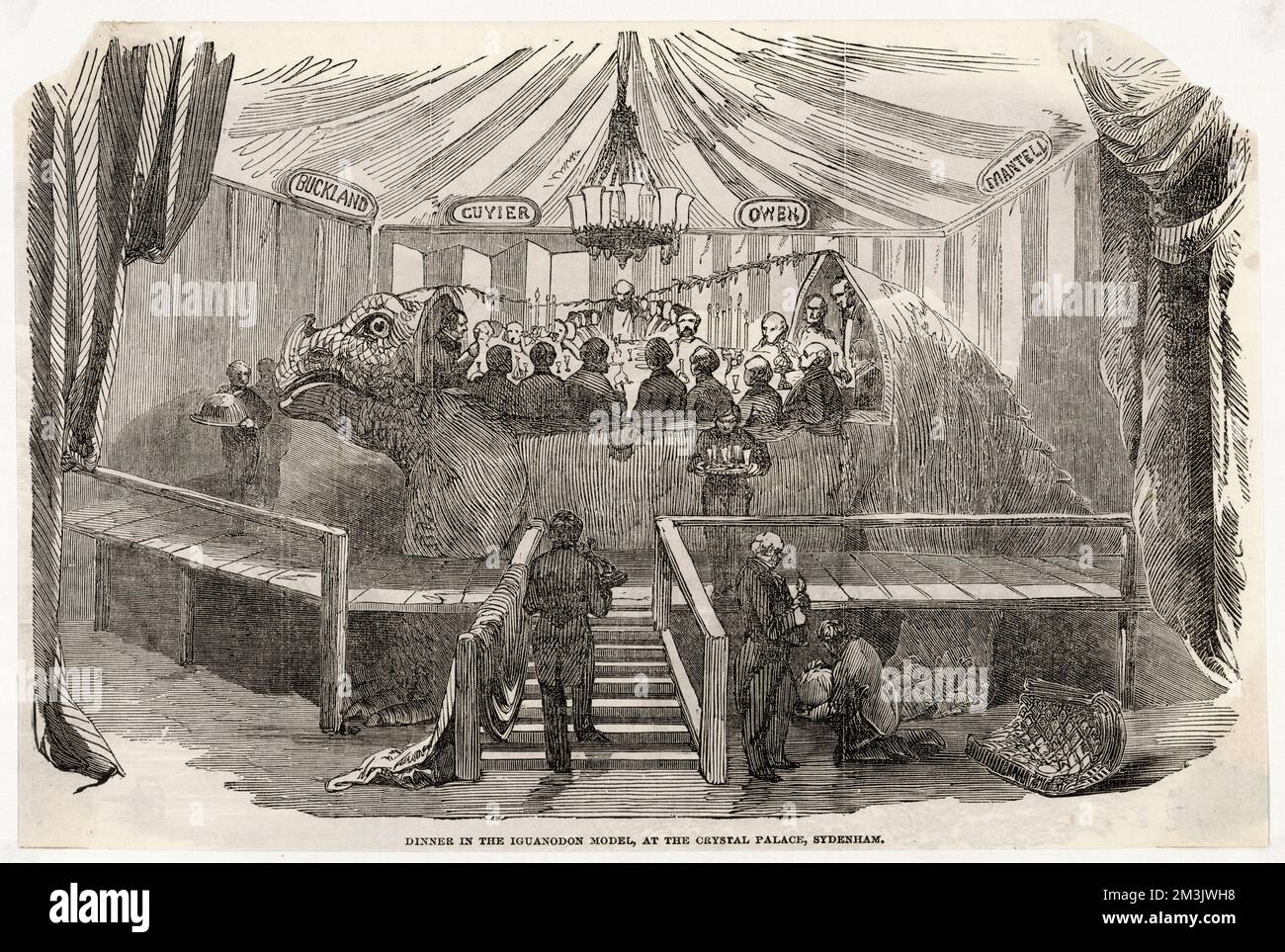 Diners seated in a model of an Iguanodon at Crystal Palace, London. The Iguanodon was a creation of Mr. B. Waterhouse Hawkins who was constructing models of various dinosaurs in his studio at Crystal Palace. The attendees were scientific friends and supporters of the project who were invited to join Hawkins on New Year's Eve, 1853. The ILN keenly describes the invitations;'...such cards!...written on the wing of a Pterodactyle, spread before a most graphic etching of the Iguanodon...'. The eminent Victorian zoologist and palaeontologist, and founder of the Natural History Museum, Richard Owen Stock Photo