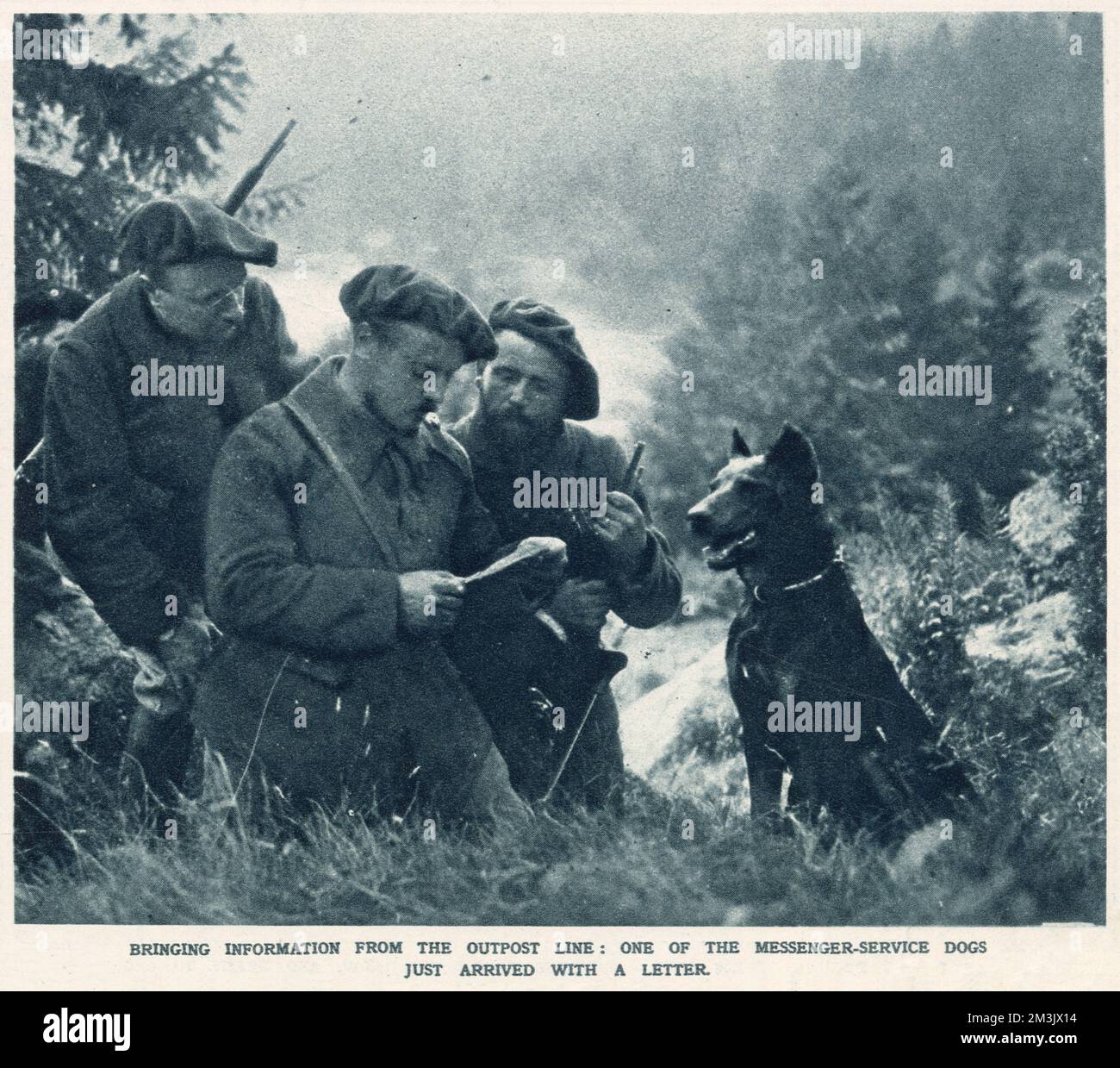 A photograph of three French soldiers, who do not appear to be wearing an official uniform, reading a message that has been delivered in the collar of a dog. Stock Photo