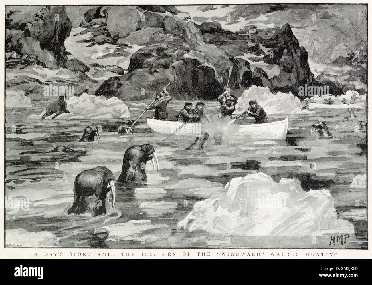 Crew of the Jackson-Harmsworth Polar Expedition, in their boats shooting walrus, near Franz Josef Land, 1896.  The Jackson-Harmsworth Expedition went to Franz Josef Land with the intention of making an attempt to reach the North Pole. However, while preparing for their attempt, Fridtjhof Nansen and his companions of the 'Fram' expedition found them.   Nansen warned Jackson off making an attempt for the North Pole and Jackson was happy to look after Nansen's tired group and convey them back to safety. Stock Photo