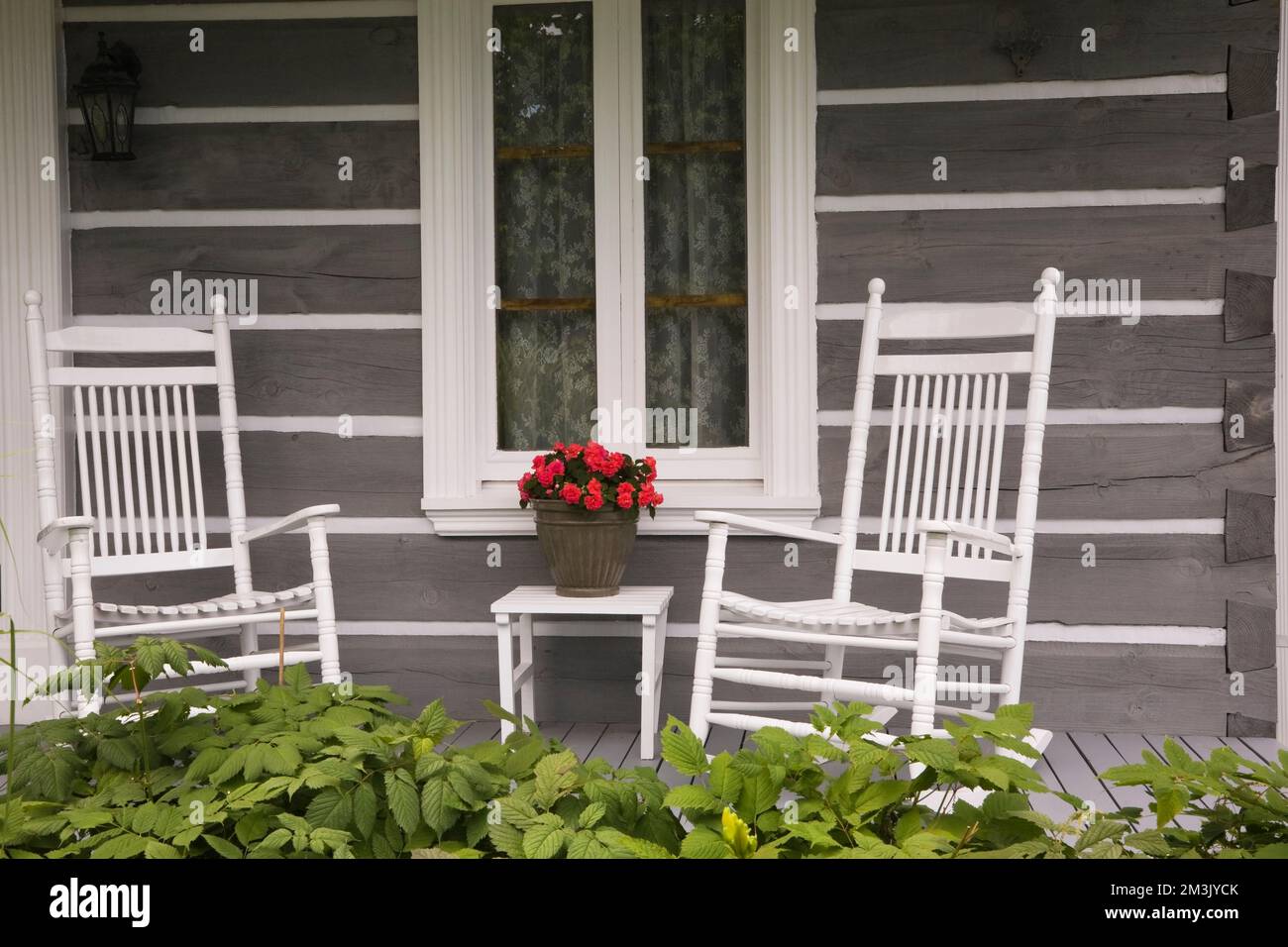 White antique wooden rocking chairs and table with red Rosa - Roses in container on veranda of grey log home in summer. Stock Photo