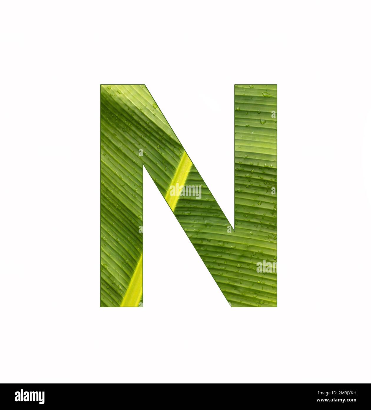 Alphabet Letter N - Banana plant leaf background Stock Photo