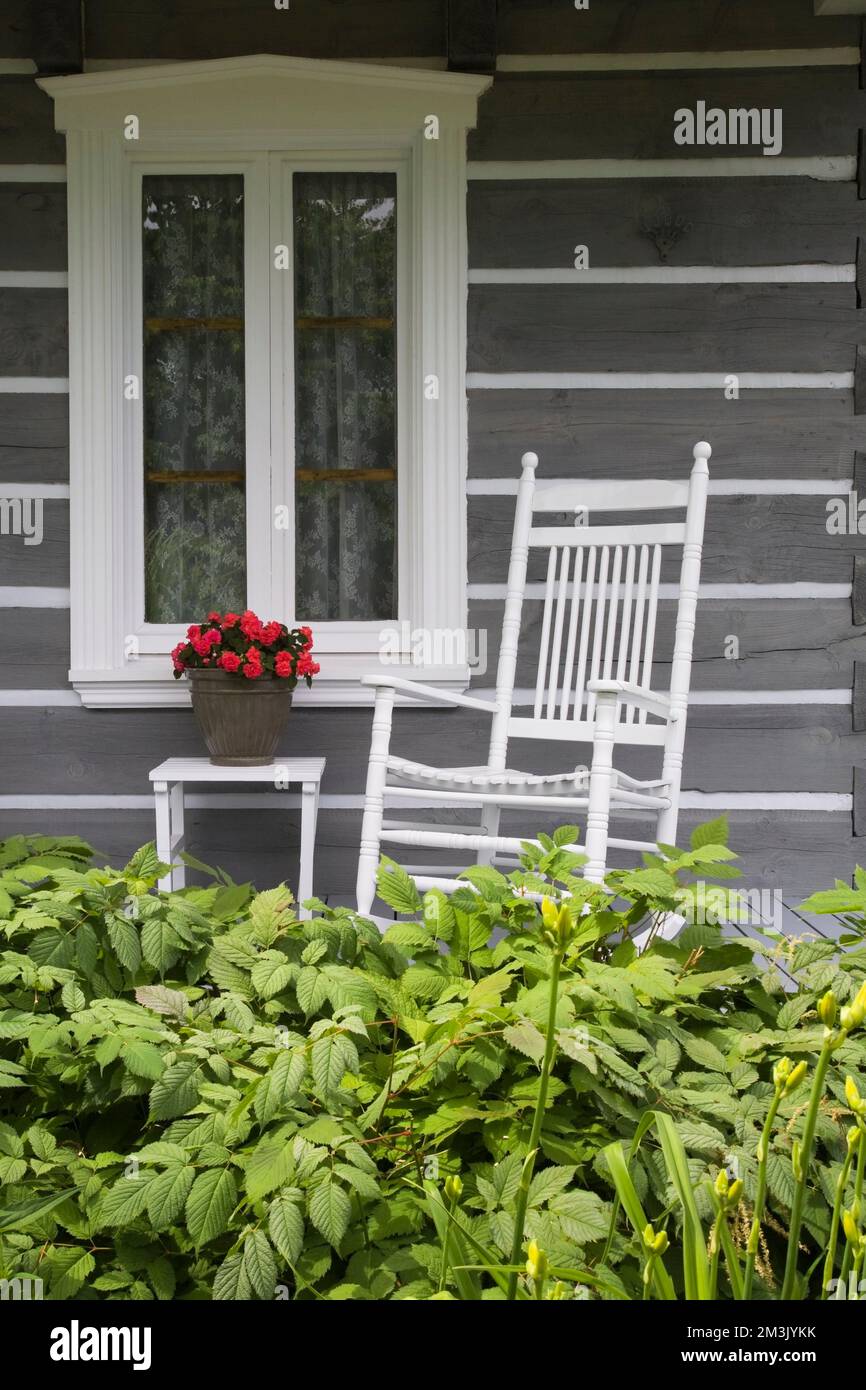White antique wooden rocking chair and table with red Rosa -Roses in container on veranda of grey log home in summer. Stock Photo