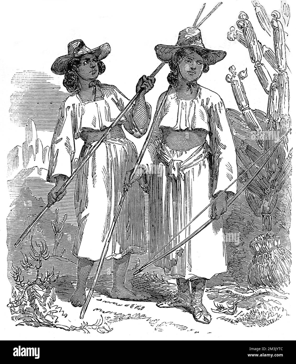 Some native American Indian women, of the Papagos tribe, with bows and arrows, wearing wide brimmed hats, cropped tops and skirts. Stock Photo