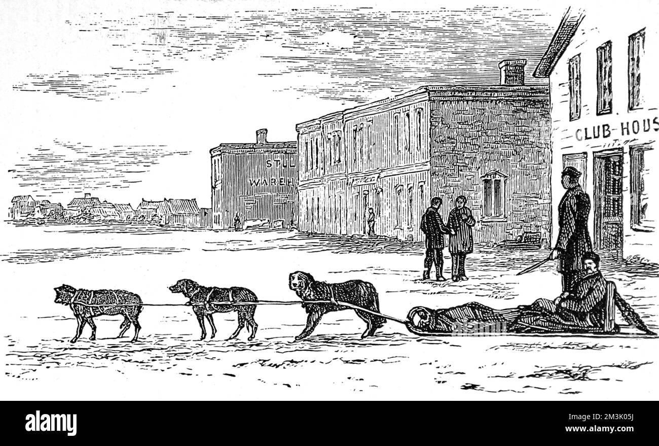Before the advent of horses, the American Indians used teams of dogs to pull carts for transporting goods.     Date: 1874 Stock Photo