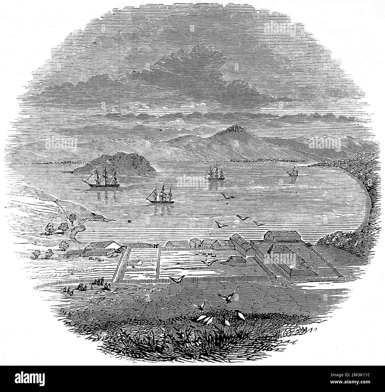 The anchorage at Yerba Buena in the bay of San Francisco, Alta-California, with several ships and sea birds, 1846.   There were five missionary establishments there at this time, named the missions of Dolores, Santa Clara, St Jose, St Francisco Solano and St Raphael. The missions had a population of 500 American Indians and 200 white people. Stock Photo