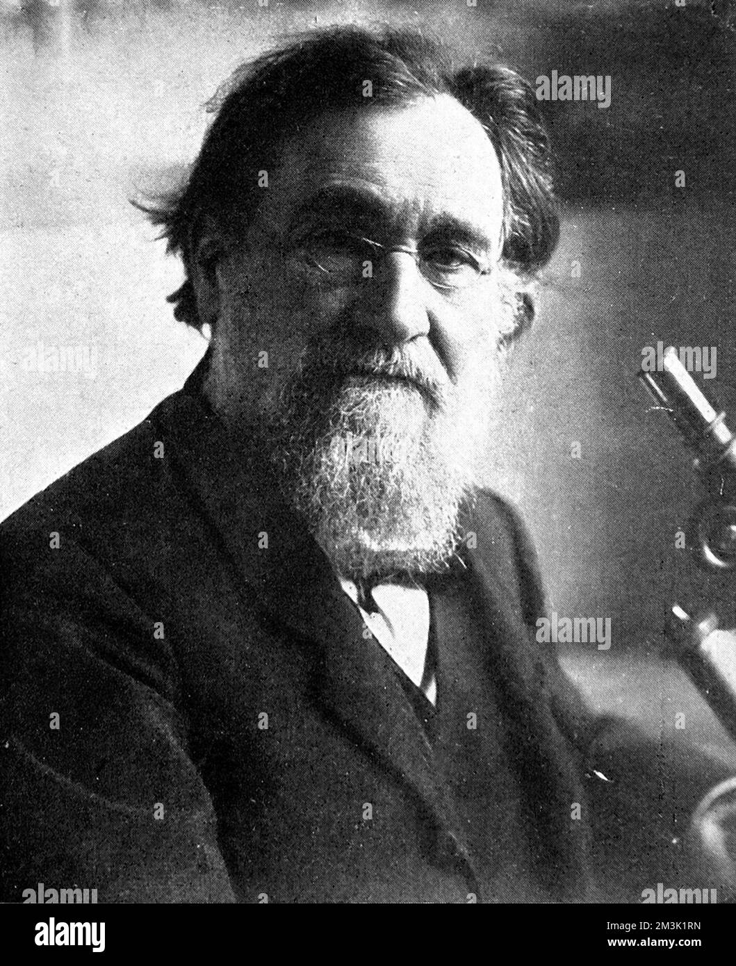 Professor Elie Metchnikoff (1845 - 1916), eminent Russian scientist. Metchnikoff became famous for his research as an embryologist and immunologist. He was jointly awarded the Nobel Prize for physiology or medicine in 1908. Stock Photo