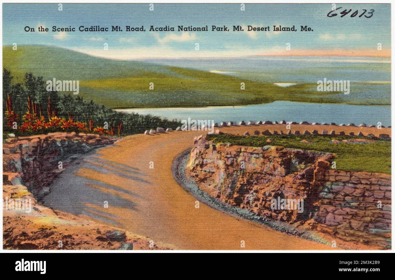 On the scenic Cadillac Mt. Road, Acadia National Park, Mt. Desert