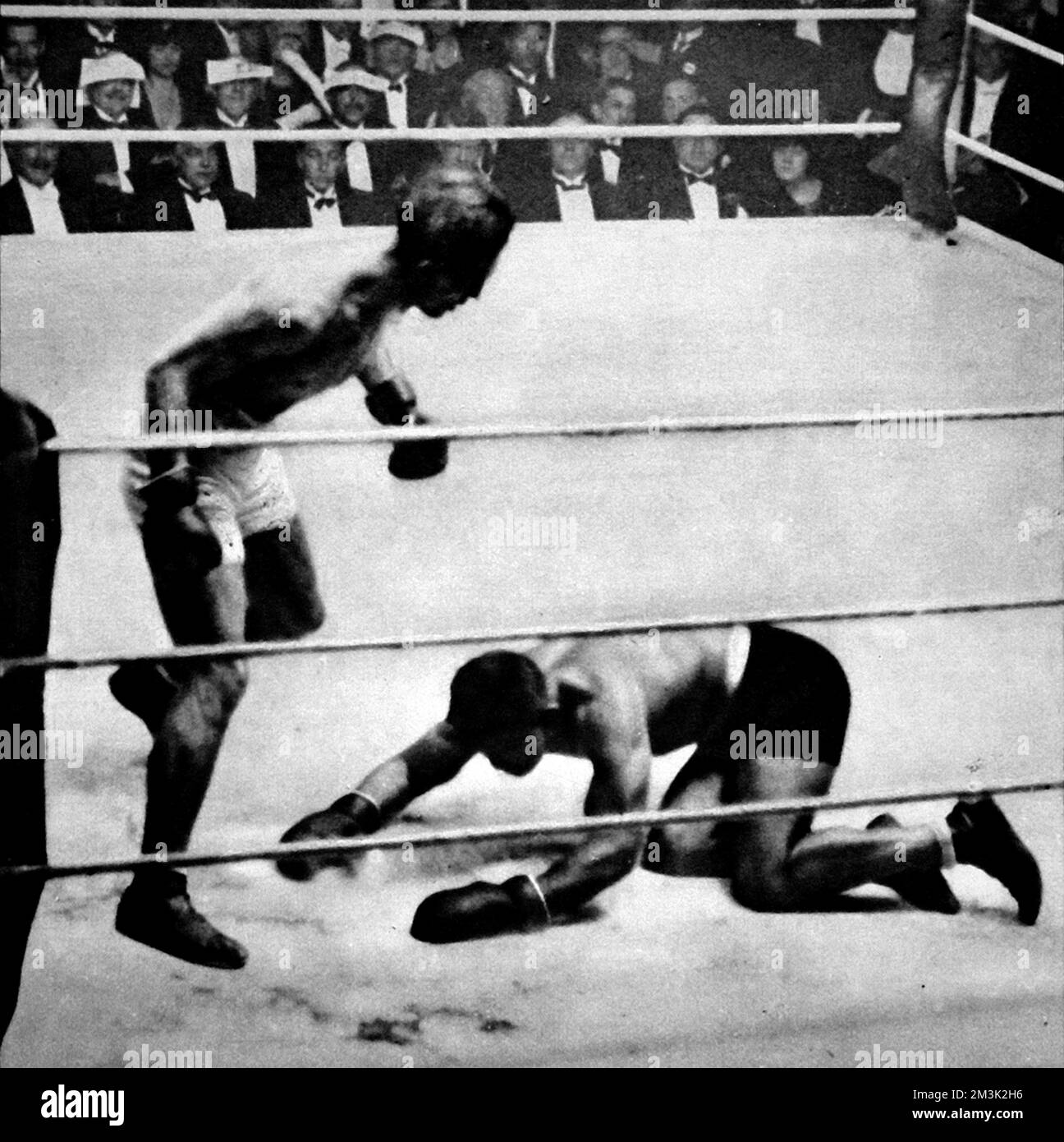 Joe Beckett knocked down by Georges Carpentier during their fight for the Heavyweight Championship of Europe, 4th December 1919. Carpentier delivered the knock-out blow after only seventy-five seconds of their match.     Date: 1919 Stock Photo