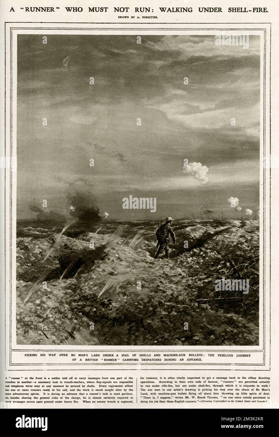 British 'runner' carrying messages across 'No Man's Land' under enemy shell-fire, France, 1916.      Under the 'etiquette' employed by British 'runners' they were allowed to run when being shot at with rifles, but could only walk when shell-fire was landing nearby.     Date: 1916 Stock Photo