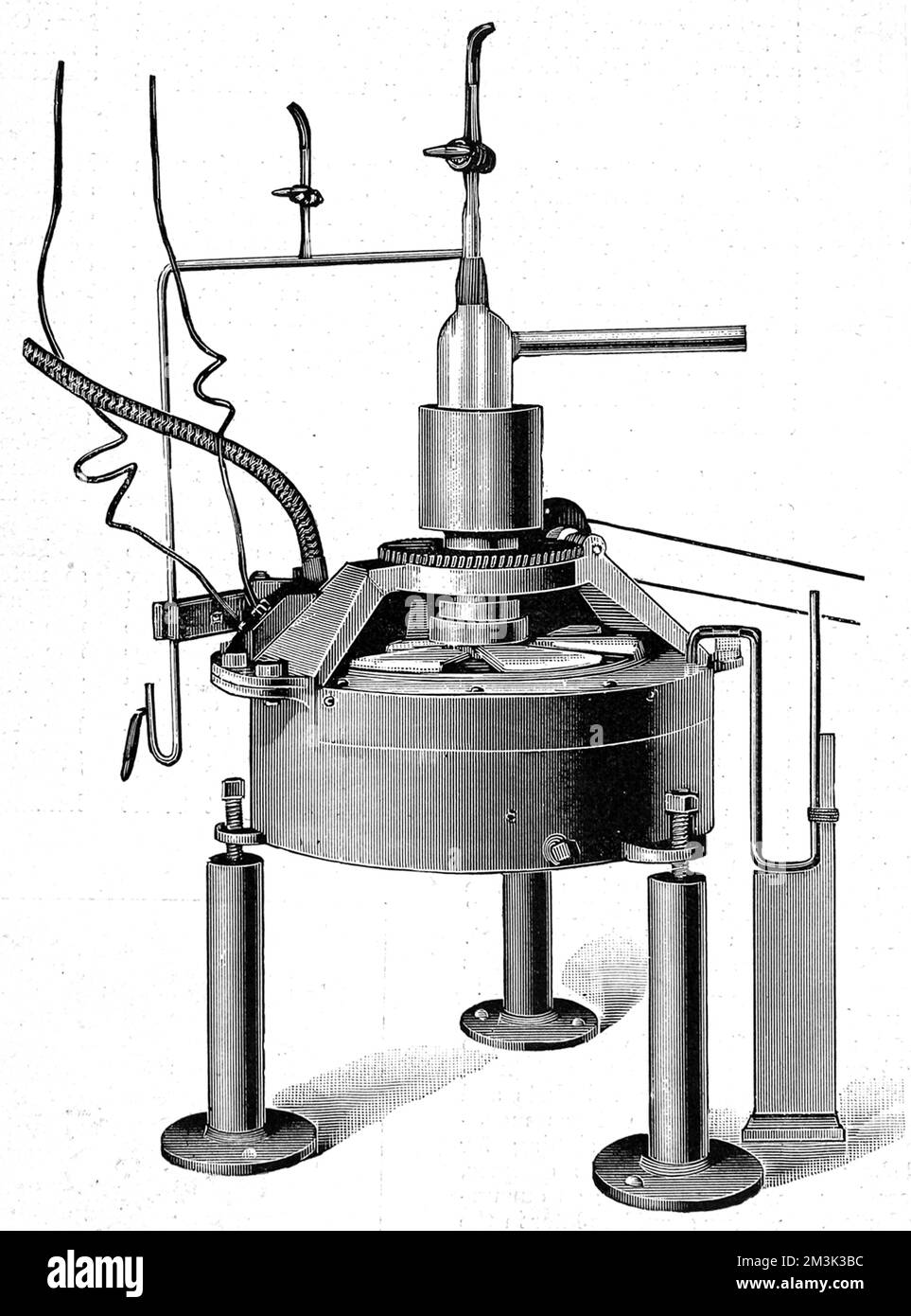 Rhodin Cut Out Stock Images & Pictures Alamy