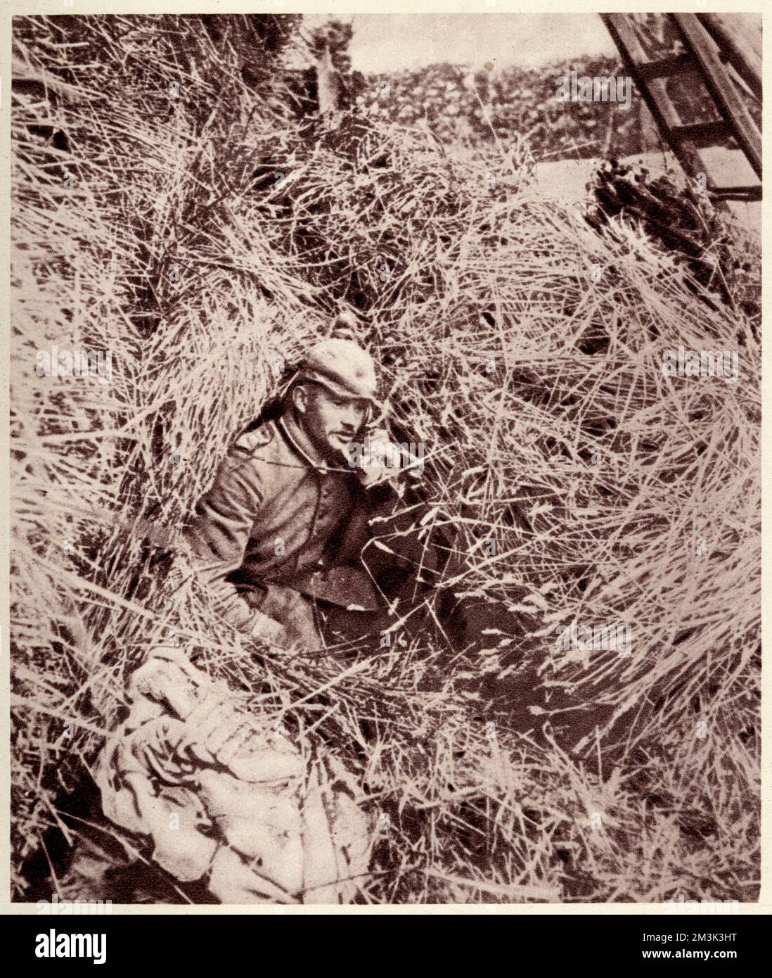 A German artillery observation post in a haystack.     Date: 1914 Stock Photo