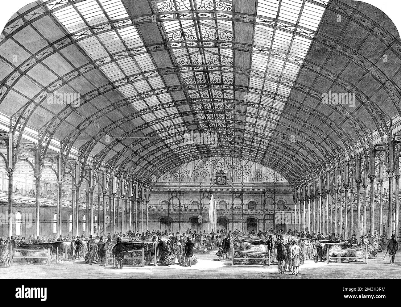 Cattle Show at the Agricultural Hall, Islington 1861 Stock Photo