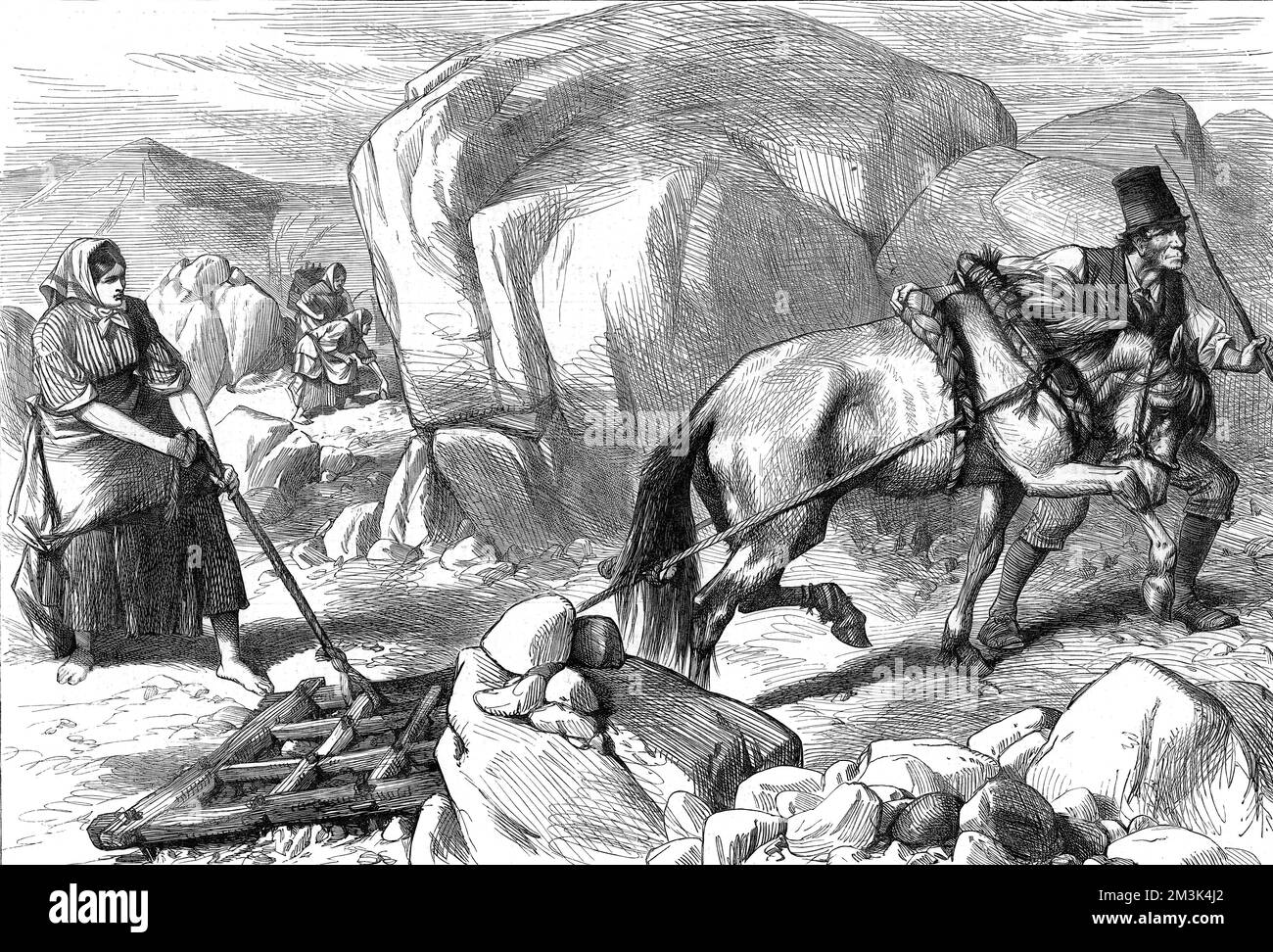 Sketch from Ireland showing the harrowing difficulty of cultivating on a mountain farm in County Mayo. A peasant man and woman use a horse in their attempts to plough the rocky slopes, while two women are engaged in gathering in the background.  17 January 1880 Stock Photo