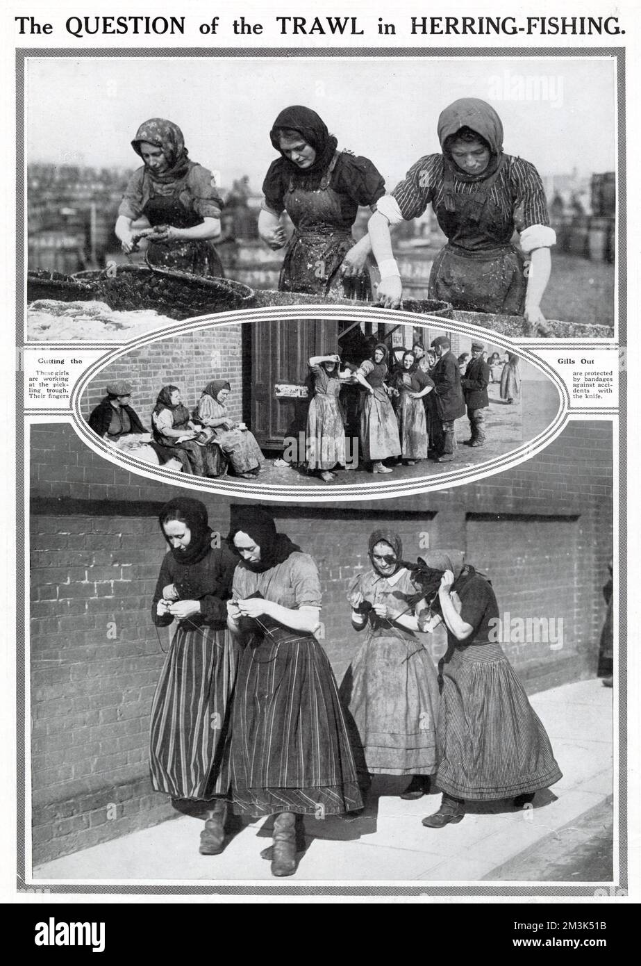 Fisher women who worked for the herring fleet on the East coast of Britain. At top, three women stand at the pickling trough, gutting and pickling herring. At centre, a group of women taking a break from their labours. At bottom, four women knitting as they walk, perhaps wearing their best clothes on a Sunday. Stock Photo