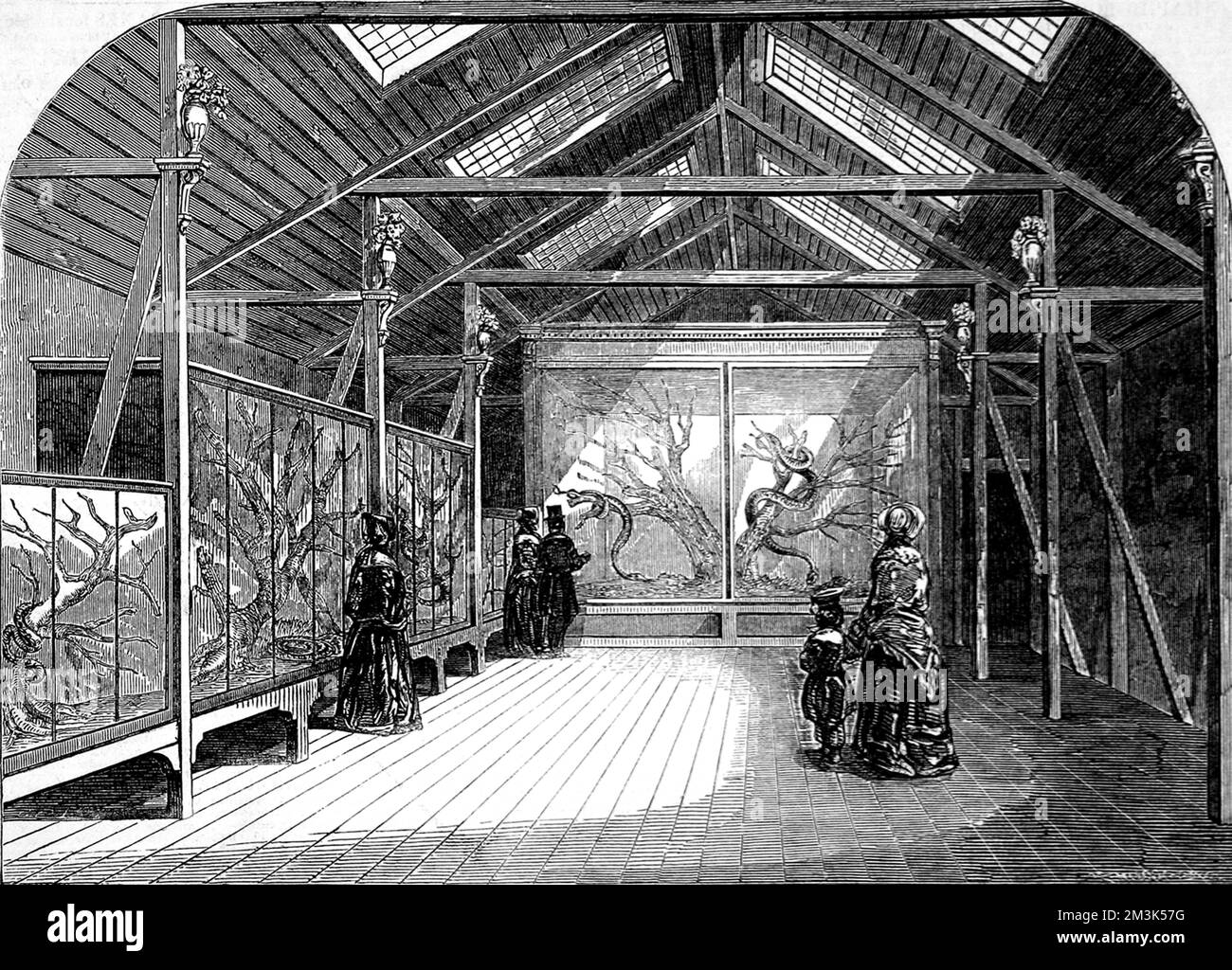 Interior of the Reptile House at the Zoological Society Gardens (London Zoo), Regent's Park.  1849 Stock Photo