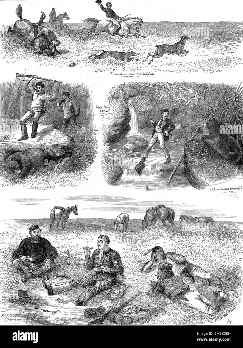 Four views of European men hunting and fishing in Manitoba, Canada.  The views show (clockwise from top): Coursing an antelope with a dog; a Brown Bear disturbing a fishing session; a European visitor (centre) not enjoying his first experience of 'pemmican' around the camp-fire; and a hunter rather carlessly leaping onto a large brown bear.  1877 Stock Photo