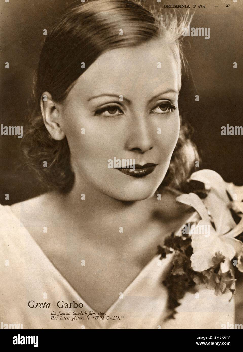 Greta Garbo (1905 - 1990), promoting her film 'Wild Orchids.' Greta Garbo was born in Stockholm and was 'spotted' whilst studying at the Royal Theatre Dramatic School by the Swedish director Mauritz Stiller. Her first Hollywood film was 'The Temptress' 1926. Amongst her other successes are, 'Queen Christie' (1930), 'Anna Karenina' (1935) and 'Ninotchka' (1939). She retired from films in 1941, after receiving poor reviews for 'Two-Faced Woman.' She spent the rest of her life living as a recluse in New York. Stock Photo
