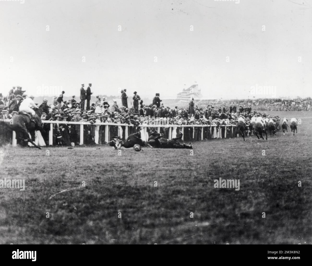 This photograph shows the fall of the King's horse at the 1913 Derby. The fall was caused by Emily Davison who ran infront of the horse and subsequently died from her injuries.     Date: 1913 Stock Photo