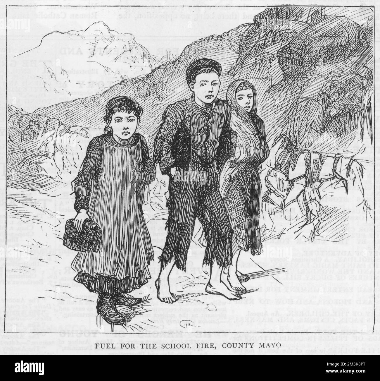 Three Irish children, two of  whom are barefoot, walk to  school in poverty-stricken  County Mayo carrying peat to  burn on the school fire.      Date: 27 December 1879 Stock Photo