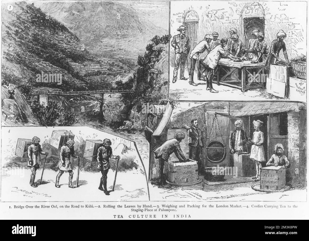 Coolies Black and White Stock Photos & Images - Page 2 - Alamy