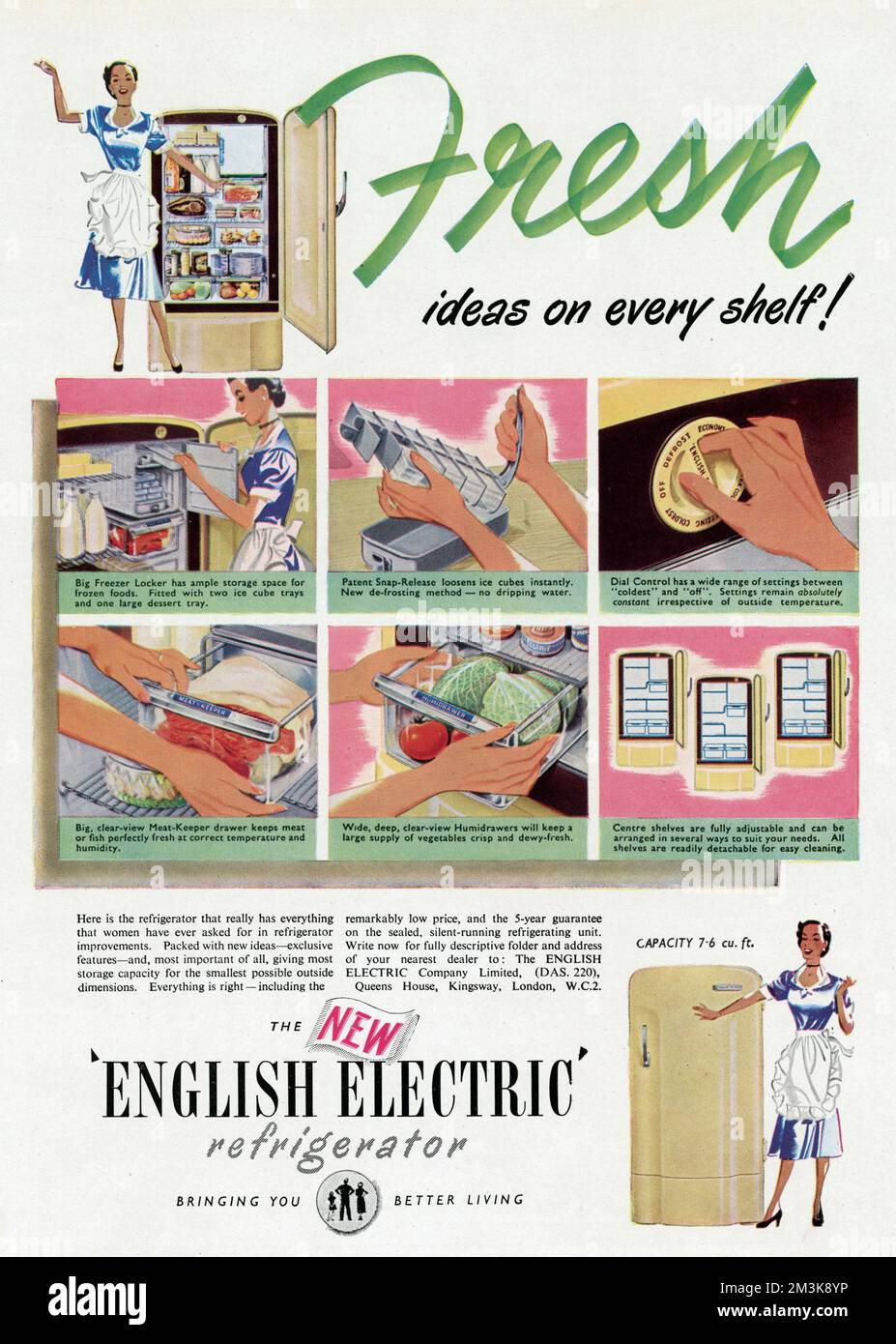 English Electric fridge advert, fresh ideas on every shelf.     Date: 1951 Stock Photo