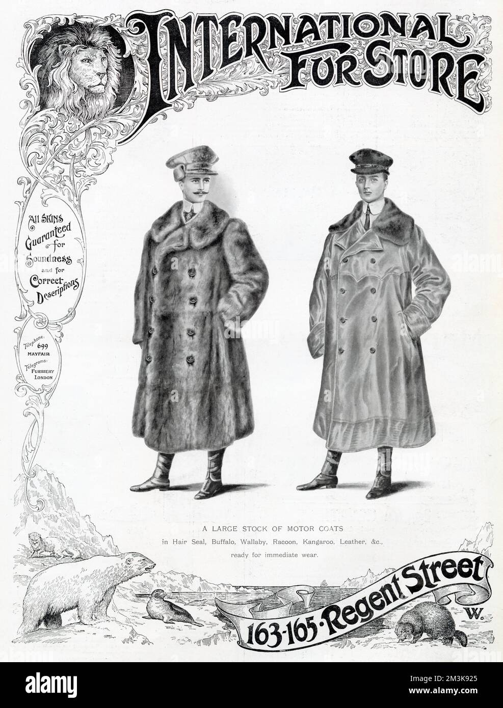Two men wearing long fur overcoats for motoring.      Date: 1905 Stock Photo