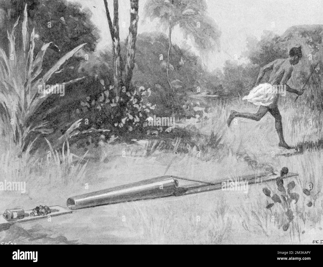 The native method of firing a cannon (lighting it and sprinting away) during the Mendi expedition in Sierra Leone, West Africa in 1898.  1898 Stock Photo