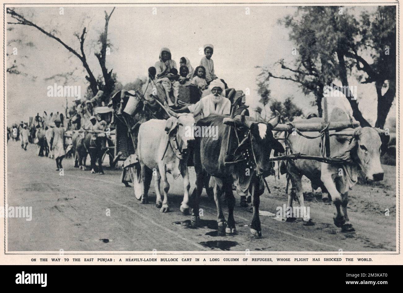 A heavily-laden bullock cart transporting an extended Sikh refugee family fleeing the communal rioting and additional violence in the East Punjab region associated with the Partition of India (and creation of Pakistan)   1947 Stock Photo