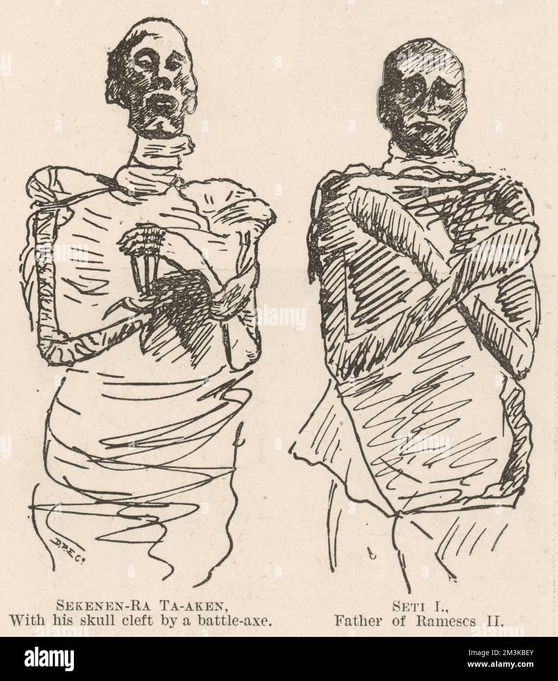 Professor Maspero, Director of Antiquities and Excavations in Egypt, on June 9, in presence of General Sir F. Stephenson and other English officers, at the Boulak Museum, Cairo, unbandaged two ancient mummies discovered in 1881 at Deir-el Bahari, Luxor, Egypt. On the left can be seen the body of 17th Dynasty Pharaoh Sekenen-Ra Ta-aken, with his skull cleft by a battle axe, and on the right the 19th dynasty ruler Seti I, father of Rameses II, with whom he shares an 'astonishing resemblance', the accompanying article claims. After the unwrapping, Seti I  was pronounced to be 'the most beautiful Stock Photo