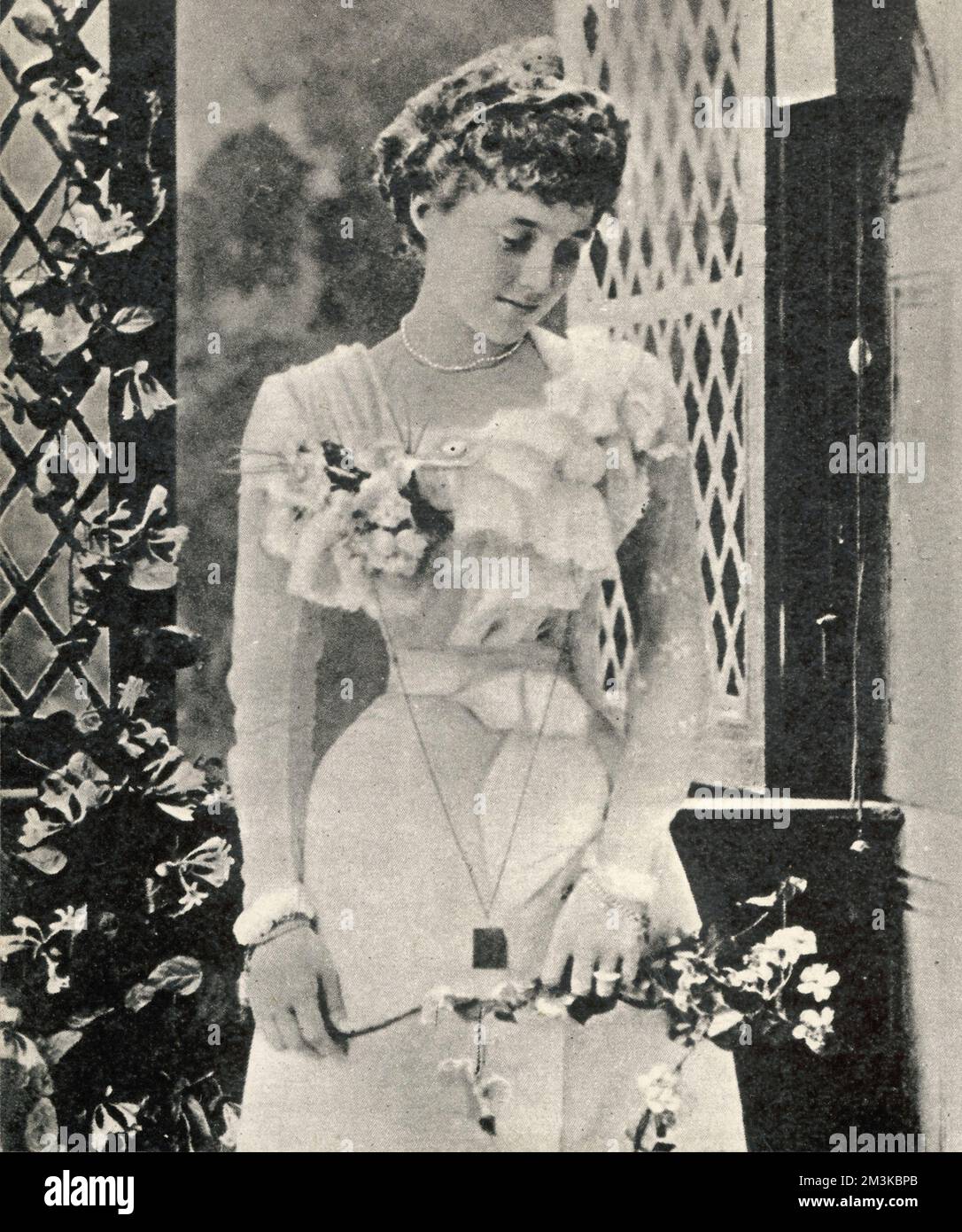 Polly Cartland Stock Photo