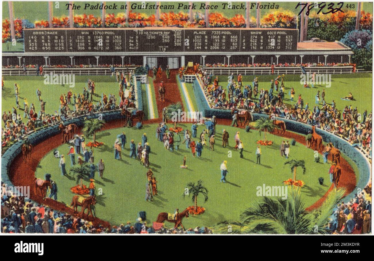 The Paddock at Gulfstream Park Race Track, Florida , Sports & recreation facilities, Tichnor Brothers Collection, postcards of the United States Stock Photo