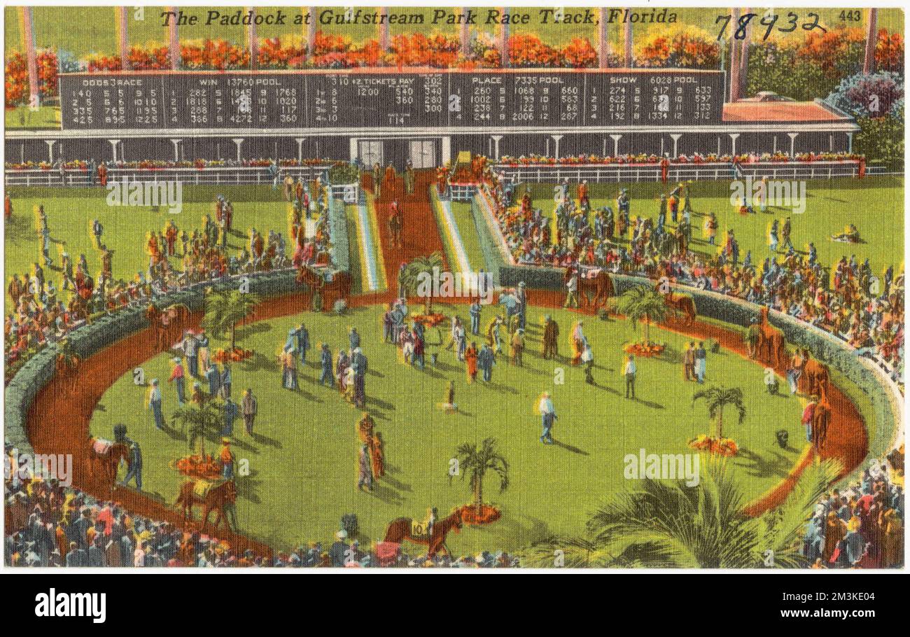 The paddock at Gulfstream Park race track, Florida , Sports & recreation facilities, Tichnor Brothers Collection, postcards of the United States Stock Photo