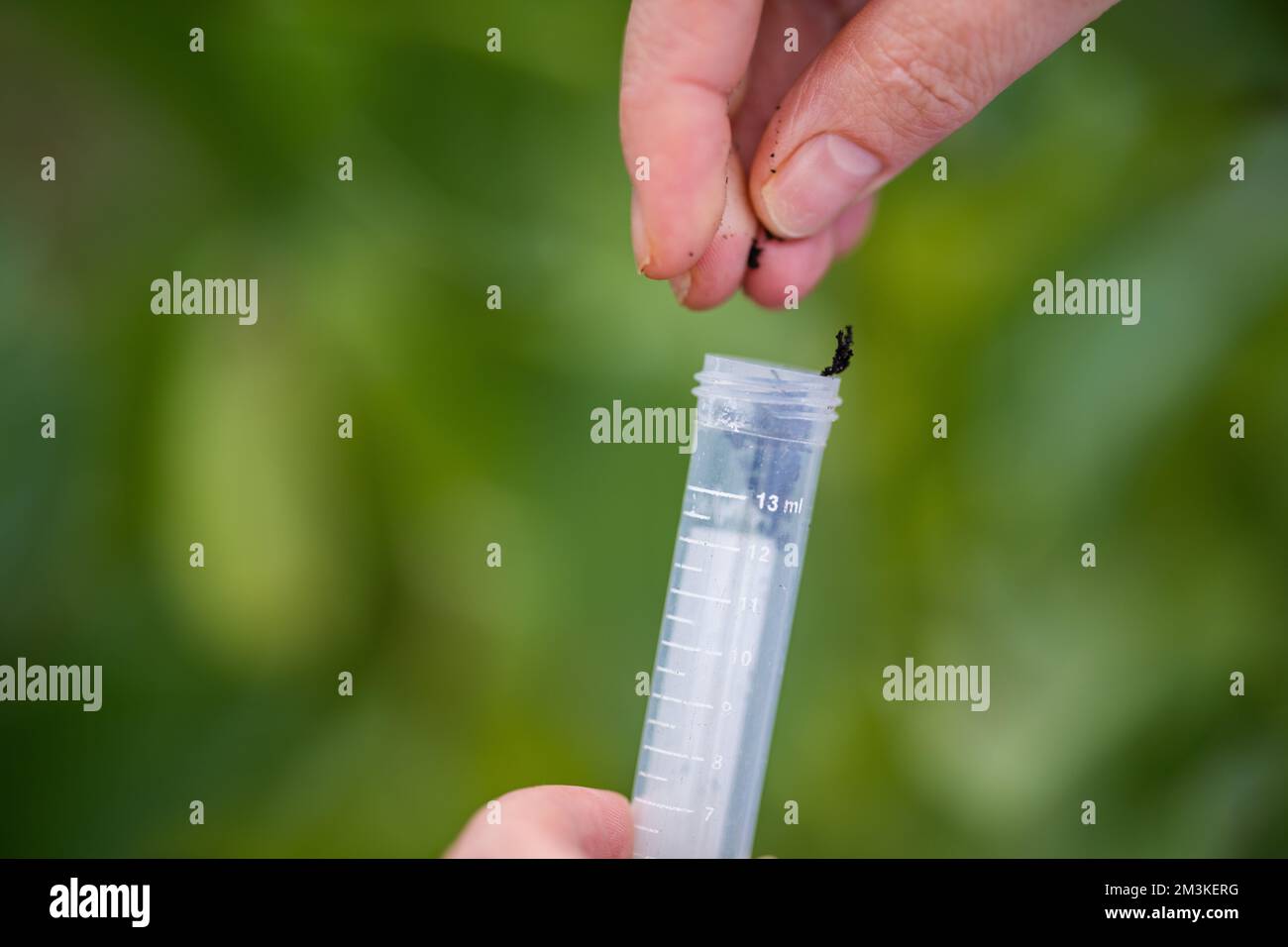 woman scientist taking soil samples and plant samples from a field in ...