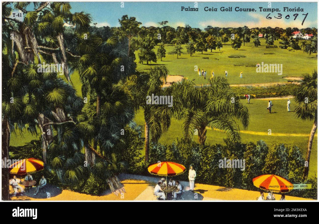 Palma Ceia Golf Course, Tampa, Florida , Sports & recreation facilities ...