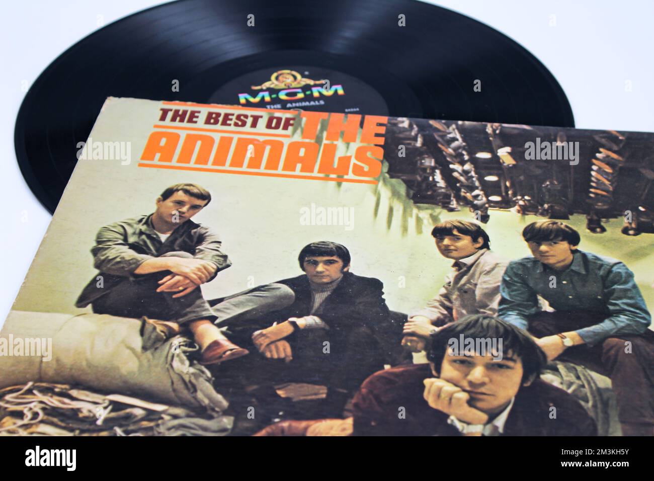 The animals band 60s hi-res stock photography and images - Alamy