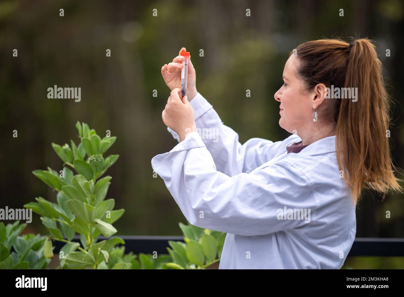 Plants in asia hi-res stock photography and images - Alamy
