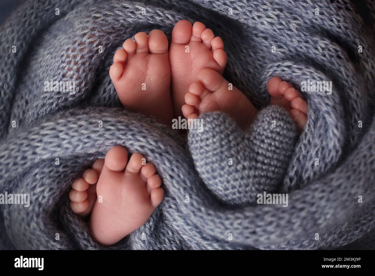 Feet of three newborn babies in blanket. Heart in the legs of newborn triplets Stock Photo Alamy