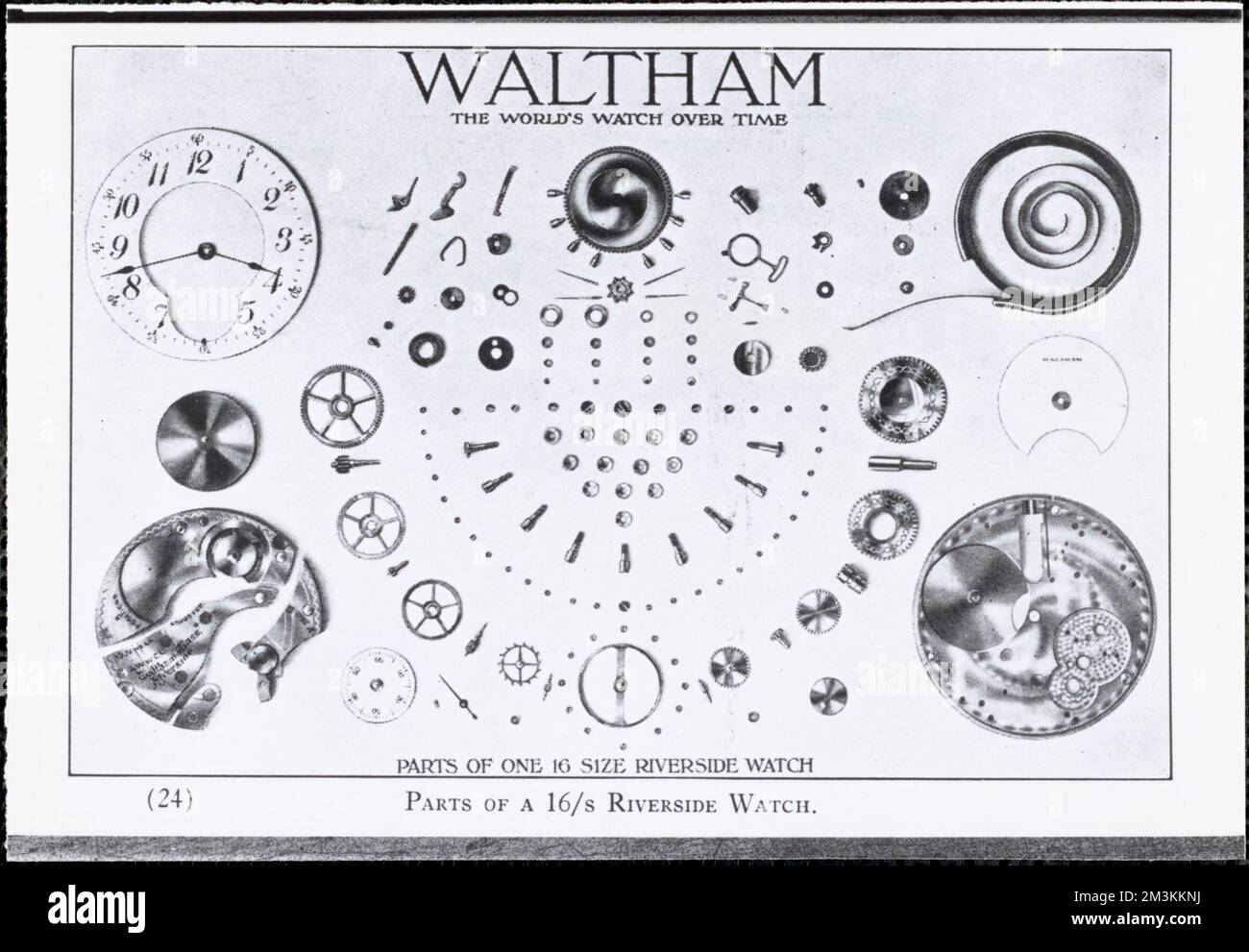 Waltham pocket watch 2025 parts list