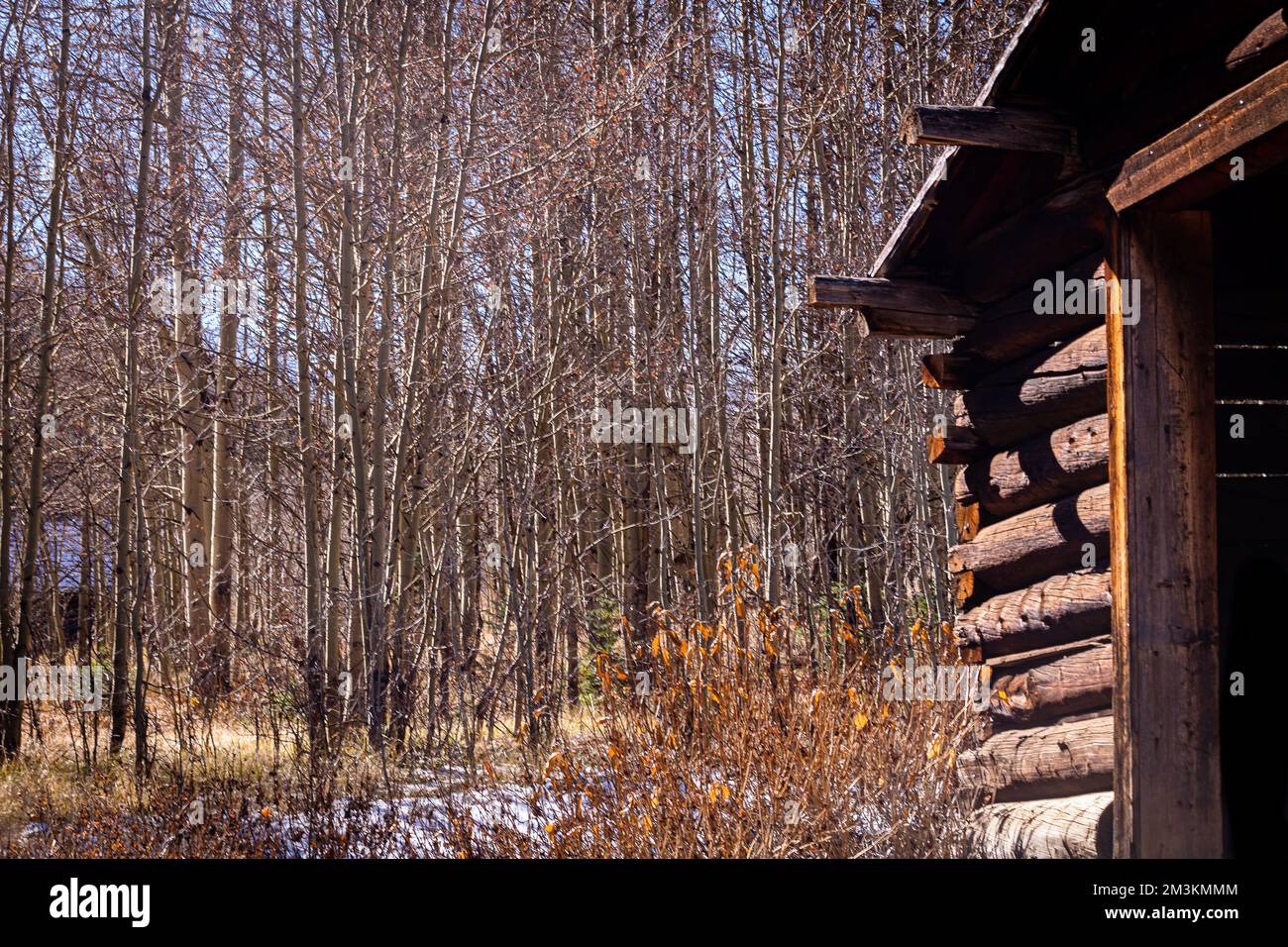 Sitting desolate near Aspen, Colorado one can find an old western ghost town, Ashcroft.  The grasslands surrounding the peaks are lonely yet stoic. Stock Photo