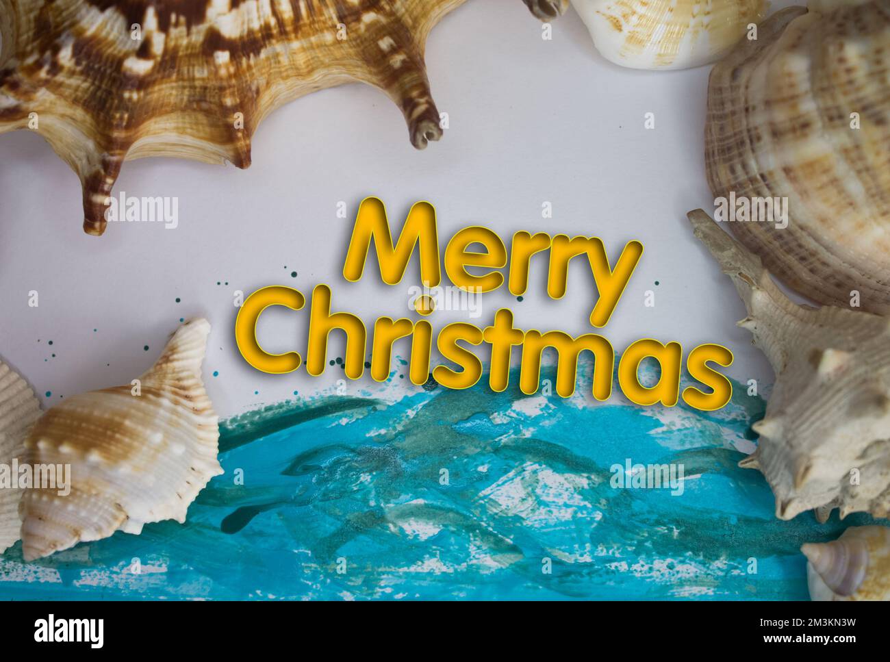Animal Shell, Summer vacation, marine background with Merry Christmas text. Stock Photo
