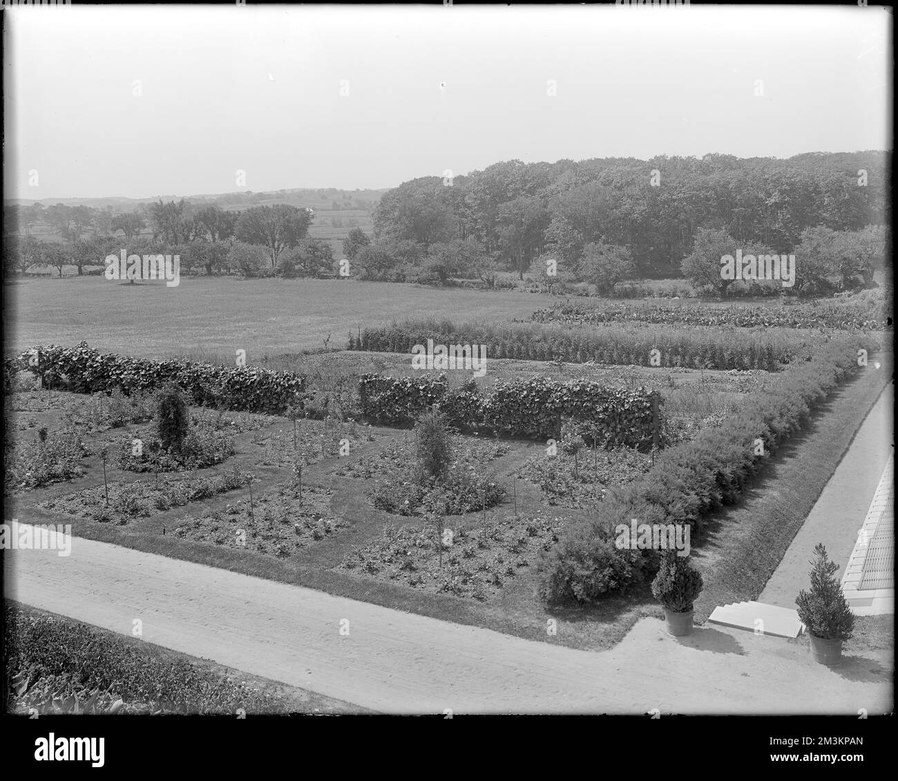 Peabody, Andover Street, views, garden at Mrs. Jacob C. Rogers Estate ...