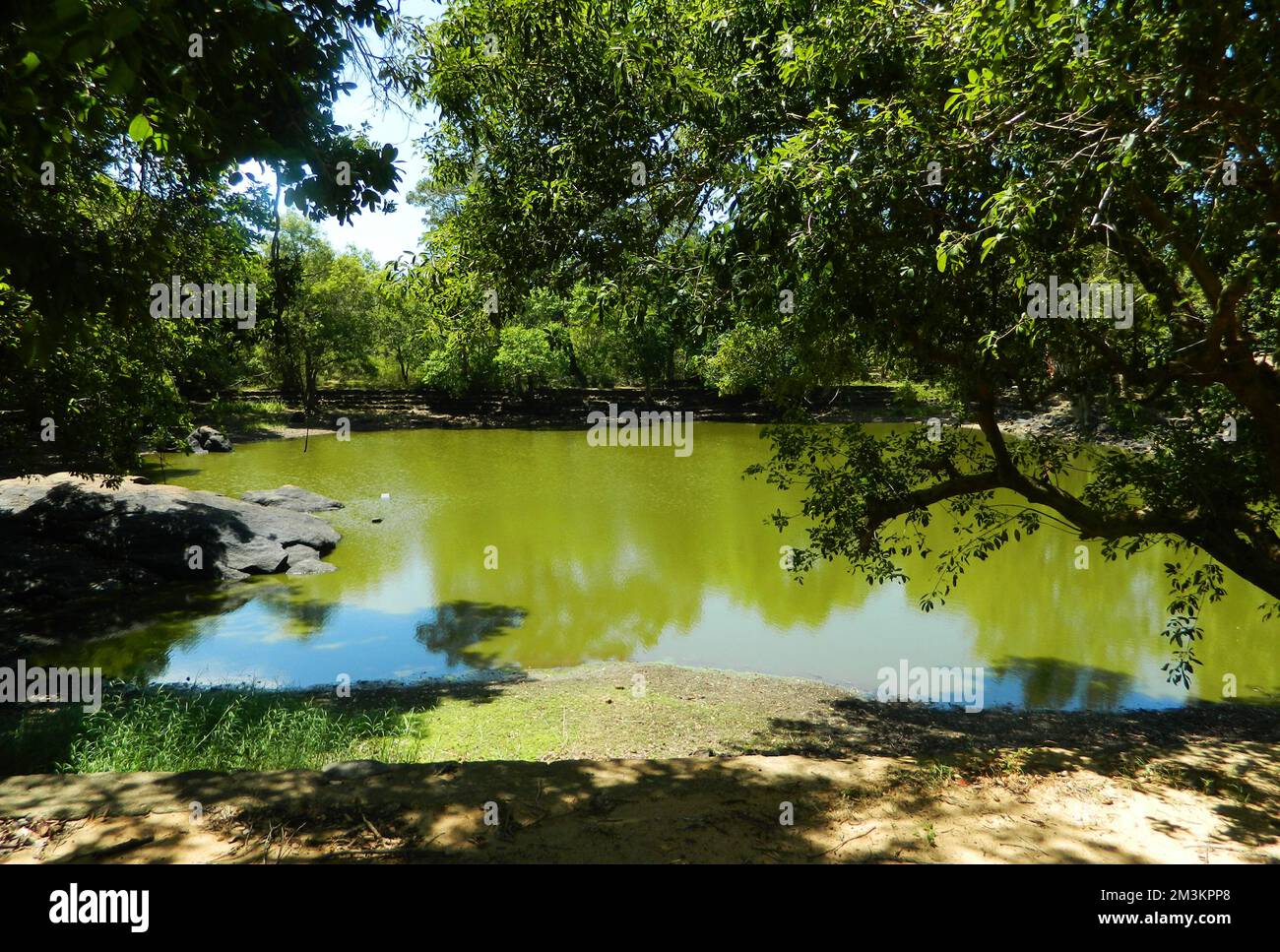 The ruins of the most ancient Buddhist Dagaba in Sri Lanka; the Girihandu Seya. The legend says, this tranquil dagaba is revered by Buddhists, as it is believed to enshrine a hair from the Lord Buddha, by merchant brother of Thapassu Balluka. Sri Lanka. Stock Photo