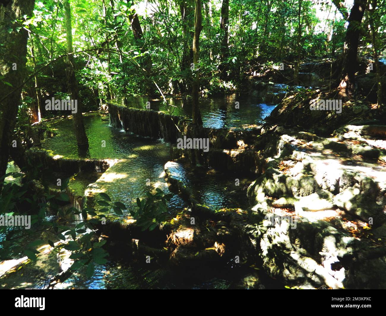 Thanjanthenna hires stock photography and images Alamy