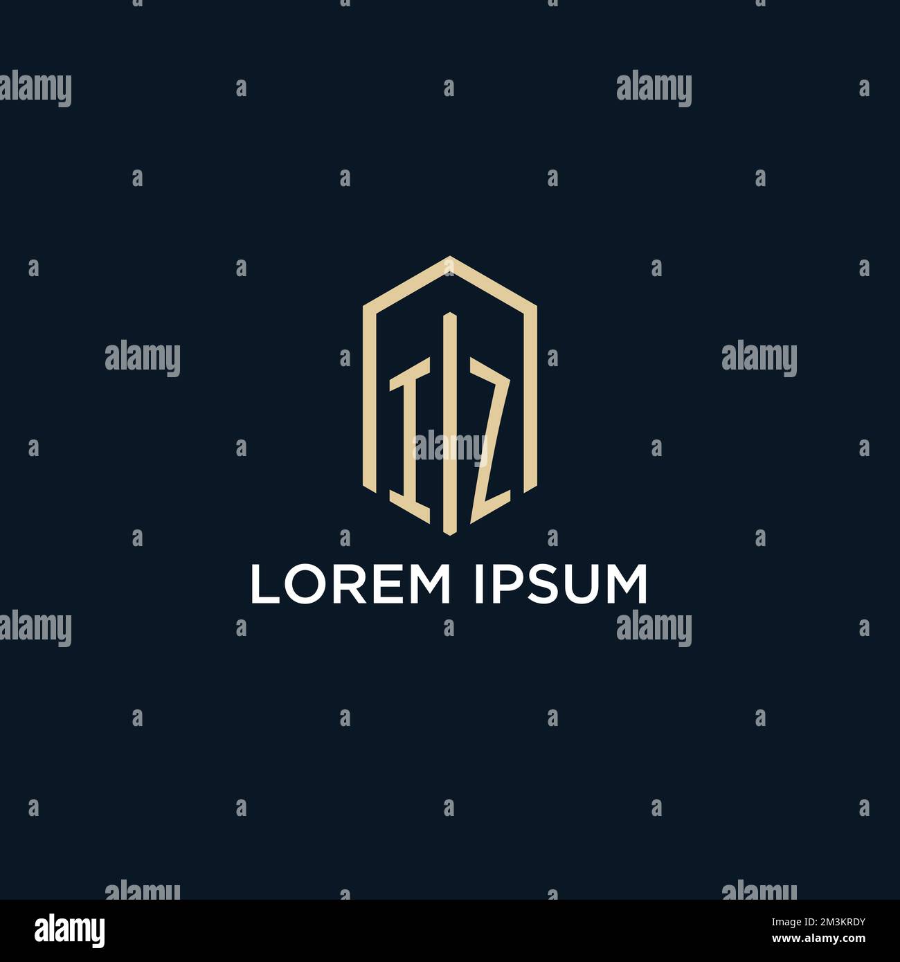 IZ initial monogram logo with hexagonal shape style, real estate logo ...