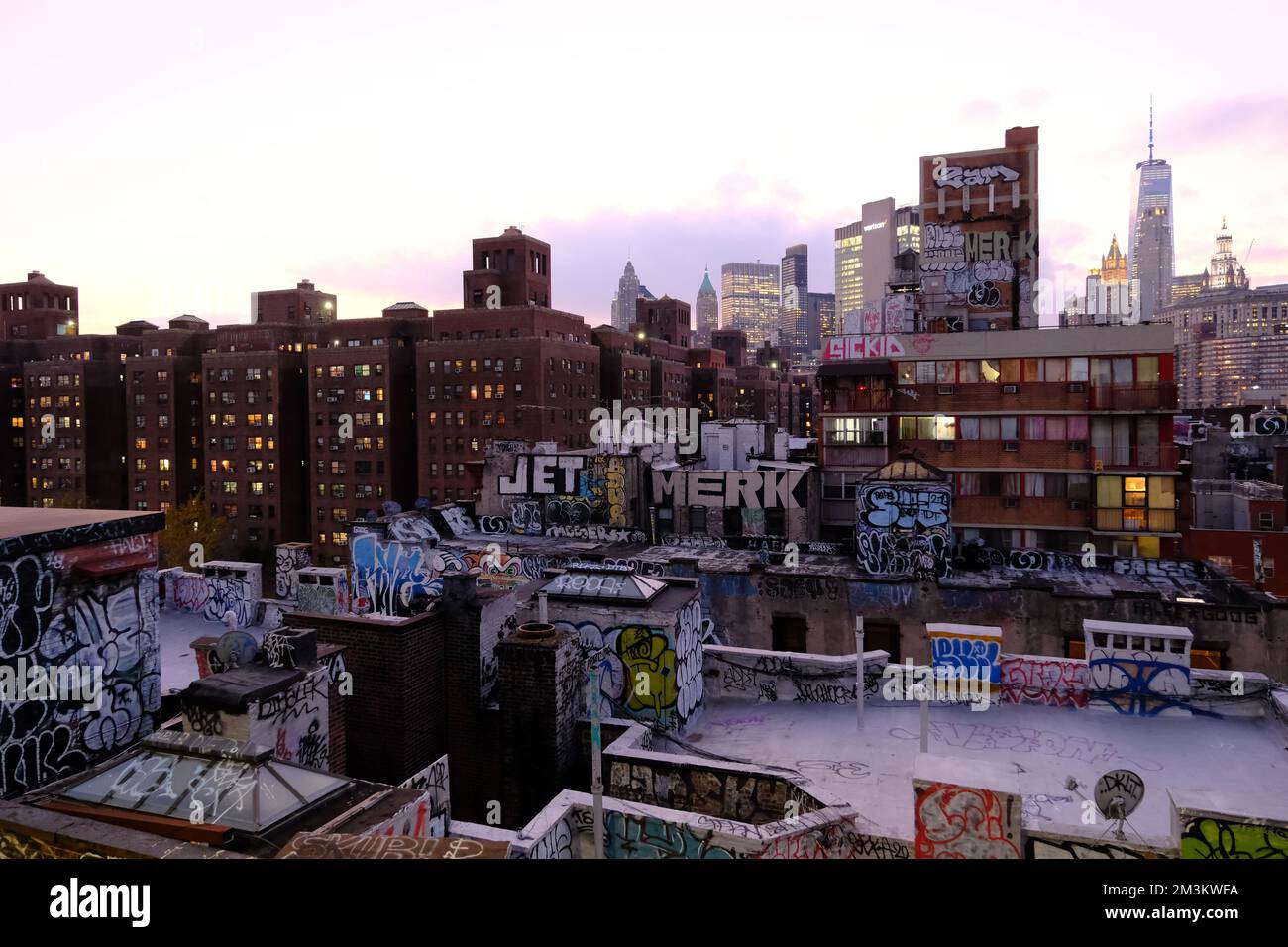 Twilight rooftop view of Lower East Side of Manhattan with One World