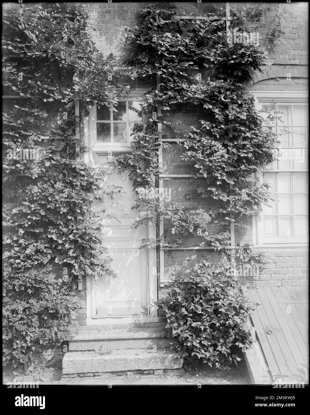 Philadelphia, Pennsylvania, 4601 North 18th Street, exterior detail, window and trellis, James